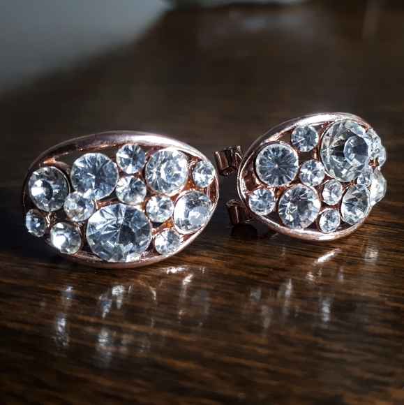 🆓 Rose Gold Bling Earrings - Picture 1 of 4